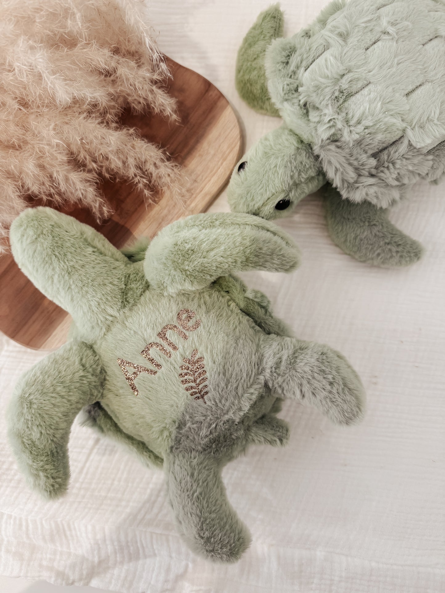 Peluche - tortue
