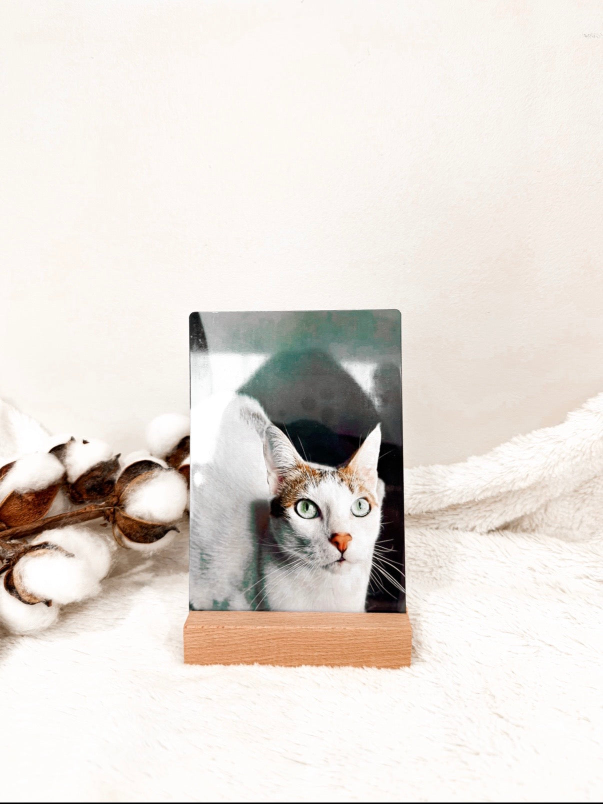 Plaque métal - rigide