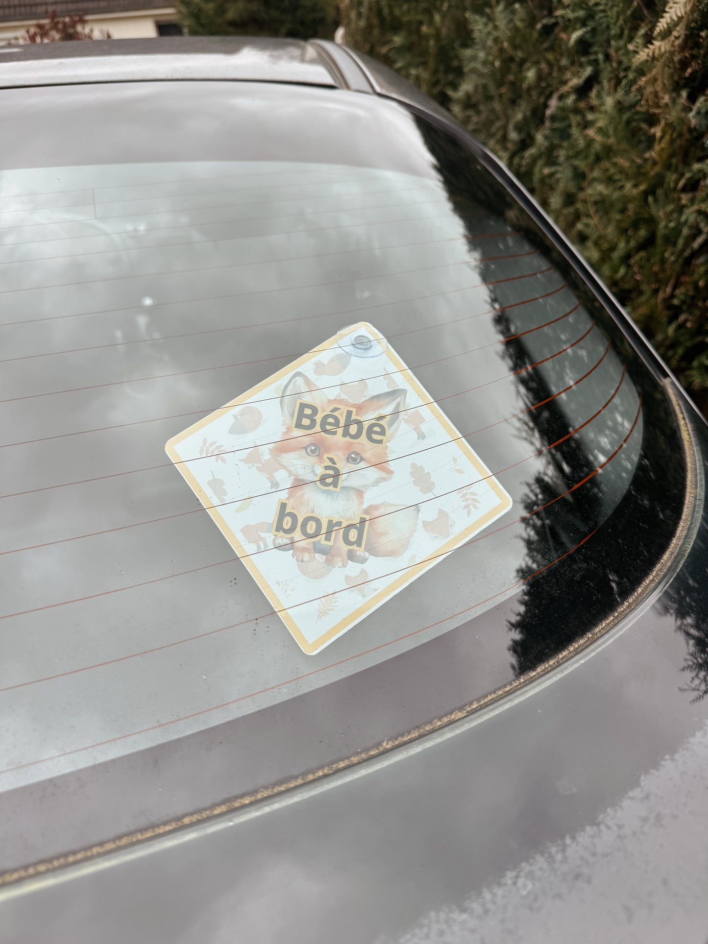 Bébé à bord - Renard