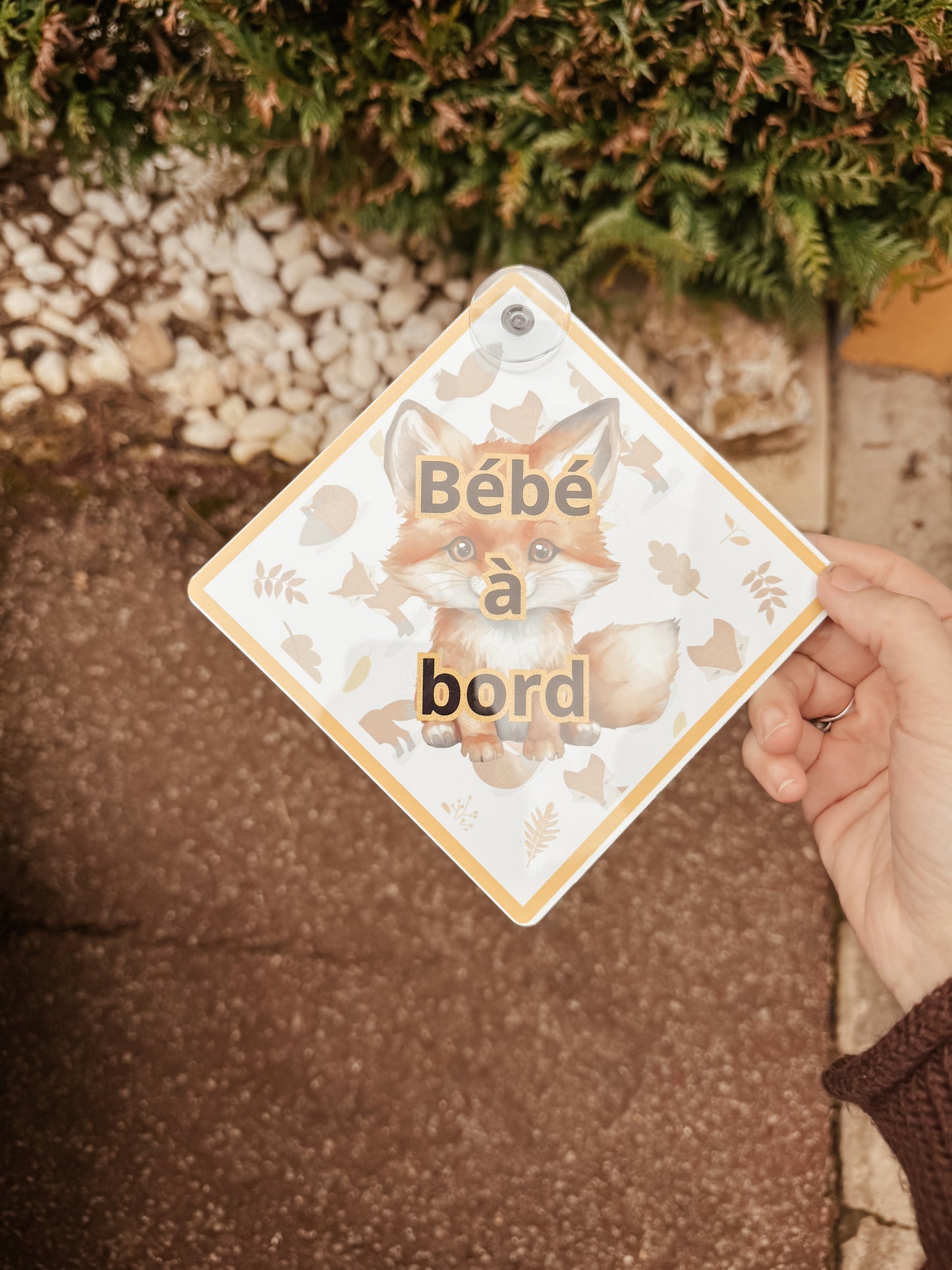 Bébé à bord - Renard